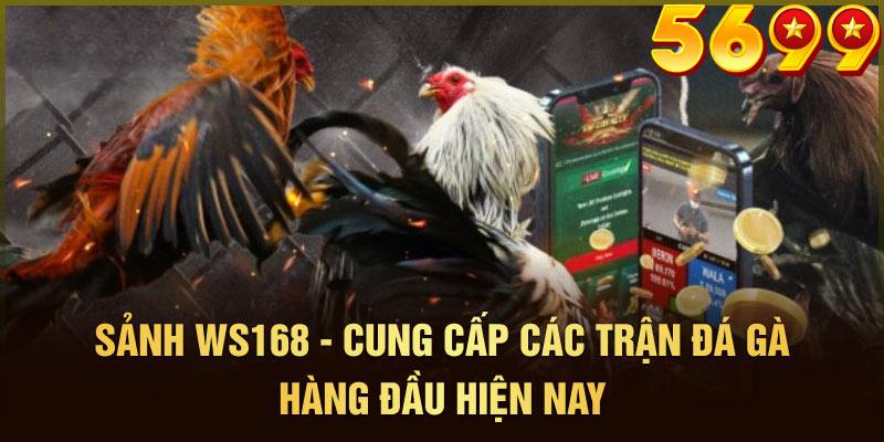 Hướng dẫn đăng ký và sử dụng WS168 để cá cược đá gà